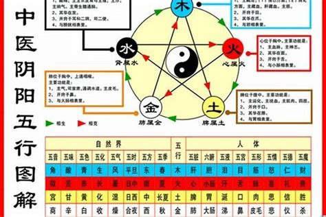 鼠五行顏色